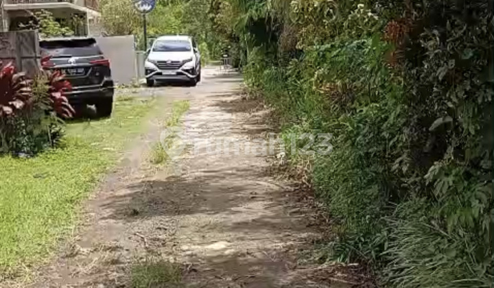 Land for Rent with Lake Buyan View in Bedugul