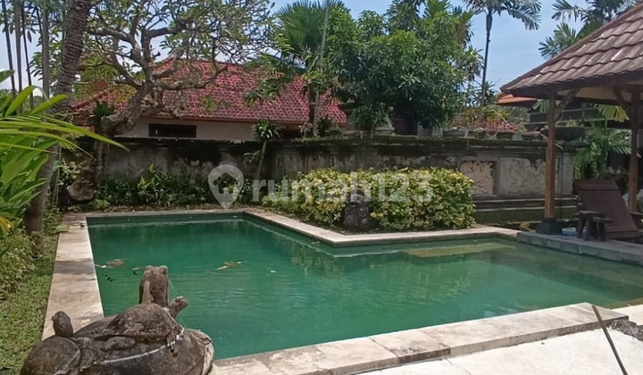 3 Kamar Tidur Terpisah Dalam 1 Tempat Style Bali Garden Luas Sanur