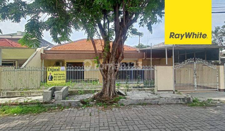 Dijual Rumah Dharmahusada Utara Surabaya 1