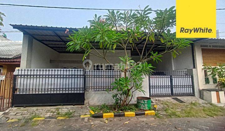 Disewakan Rumah Dijalan Sutorejo Selatan Surabaya 1