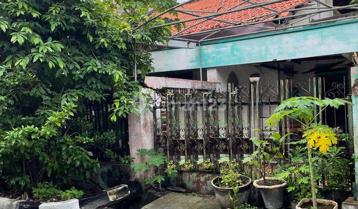 Dijual Rumah Dijalan Darmo Permai Timur Surabaya 1