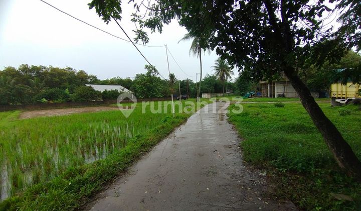 Dijual Tanah Kebun Bonus Rumah, Legok Tangerang