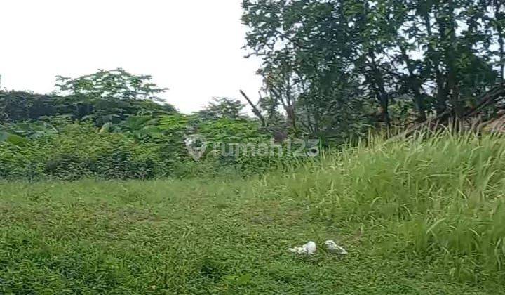 Dijual Murah Tanah Darat/Kebun - Cariu Mekarsari Bogor 1