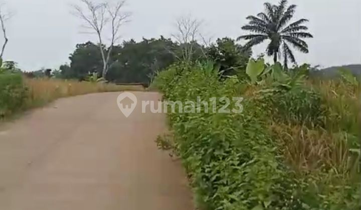 Dijual Tanah Shm 125ha Cocok Buat Inves Munjul Pandeglang Banten Dijual Tanah Shm 125ha Cocok Buat Inves Munjul Pandeglang Banten