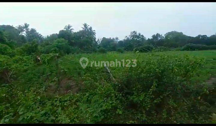 Dijual Tanah SHM ±400.000 m² (±40Ha)Rp75Rb/m2, Cocok Buat Inves Cikeusik Pandegelang 2