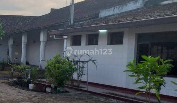 Dijual Rumah & Sarang Walet Rembang - Jawa Tengah 2