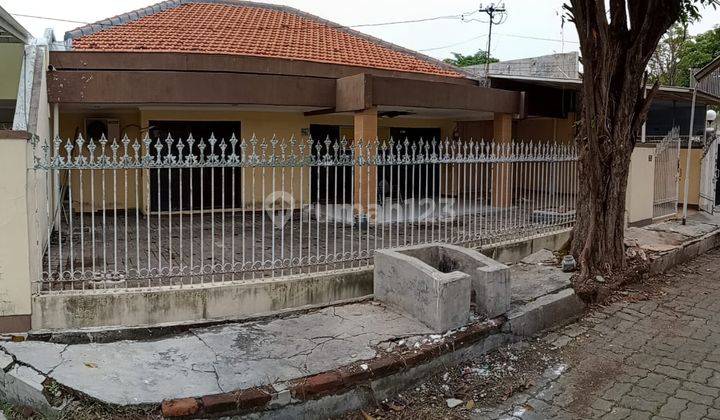 Dijual Cepat Rumah Lokasi Strategis Di Dharmahusada Surabaya Kt 1