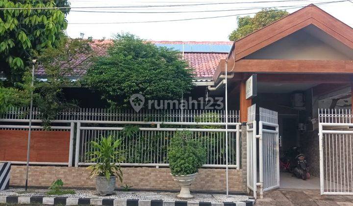 Disewakan Rumah Siap Huni Lokasi Di Darmo Baru Timur BB 1