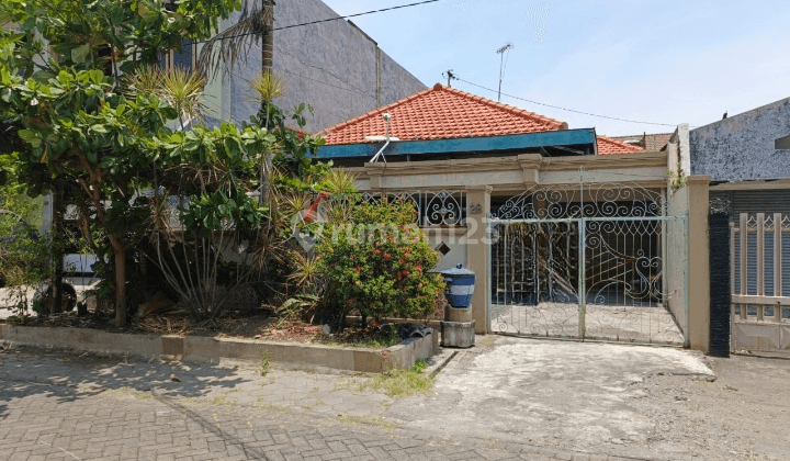 Dijual Cepat Rumah Nego Siap Huni Di Dukuh Kupang Timur Kt 1