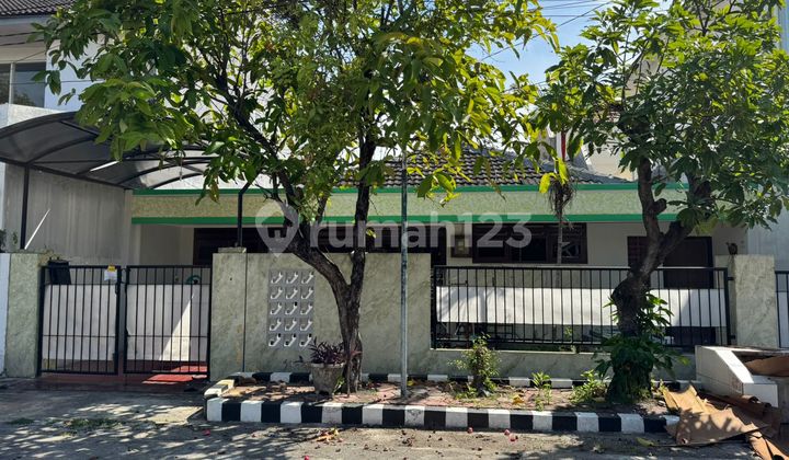 Dijual Rumah Rungkut Menanggal Harapa Surabaya Dijual Rumah Rungkut Menanggal Harapa Surabaya