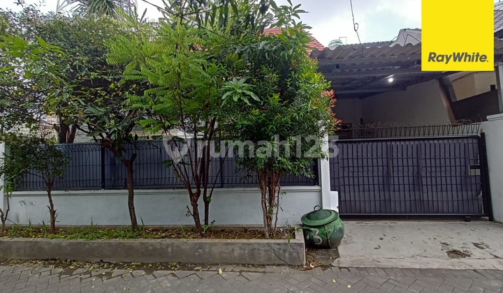 House for Rent on Jalan Mojo Kidul Surabaya 1