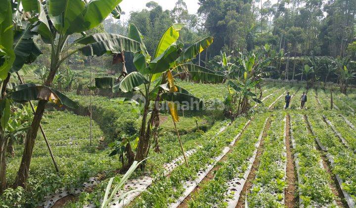 Di jual tanah + bangunan bekas peternakan sapi 2