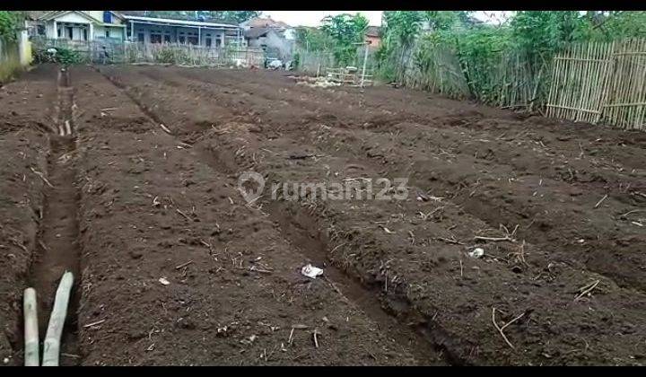 Di Jual Lahan Kosong Di Area Cikajang Garut. Bentuk Tanah Kotak Shm, Sangat Cocok Buat Perumah / Kandang Ternak 1