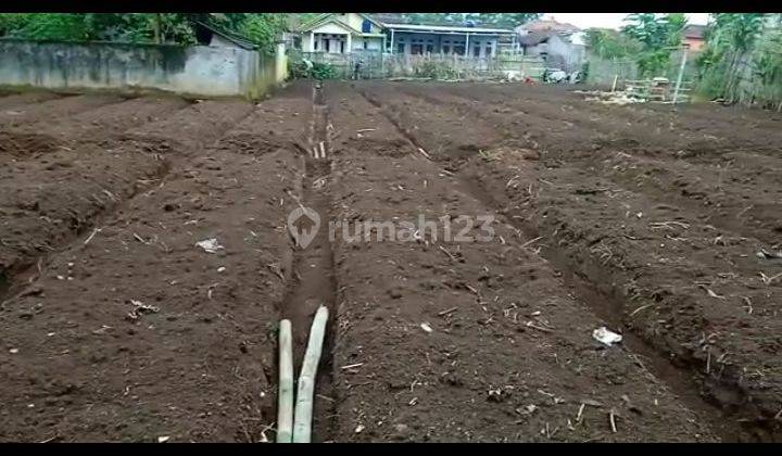 Di Jual Lahan Kosong Di Area Cikajang Garut. Bentuk Tanah Kotak Shm, Sangat Cocok Buat Perumah / Kandang Ternak 2