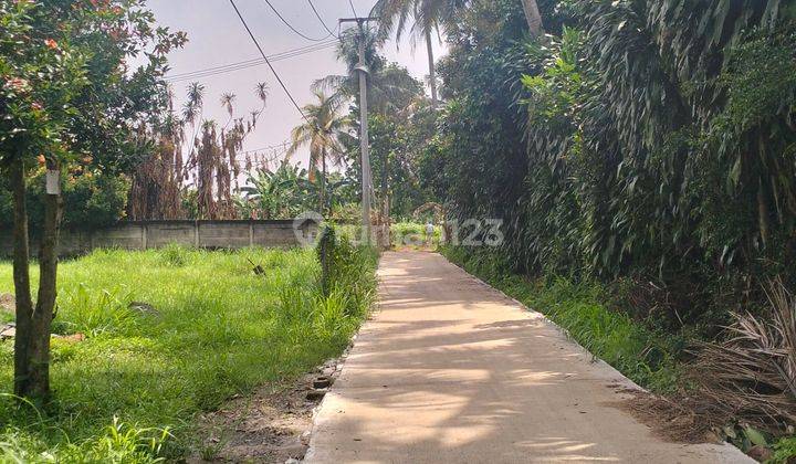 Tanah Di Jantung Kota Ciseeng Bogor Nempel Perumahan 2