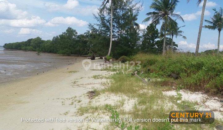 Tanah Strategis Siap Bangun Di Teluk Sebong, Bintan , Kepri, Riau 2