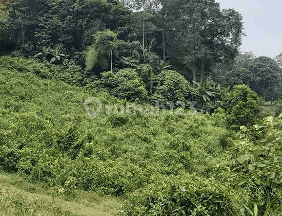 Tanah Strategis di Cariu, Kabupaten Bogor, Jawa Barat