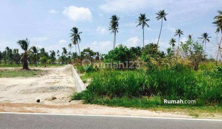 Kavling Pantai Untuk Pariwisata Bintan, Kepulauan Riau 2