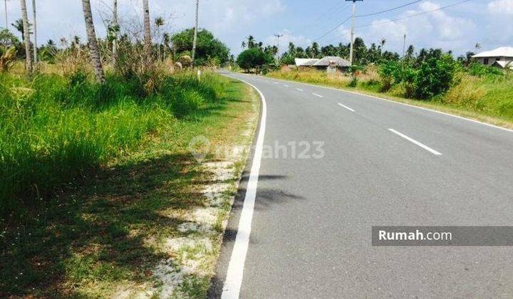 Kavling Pantai Untuk Pariwisata Bintan, Kepulauan Riau 1