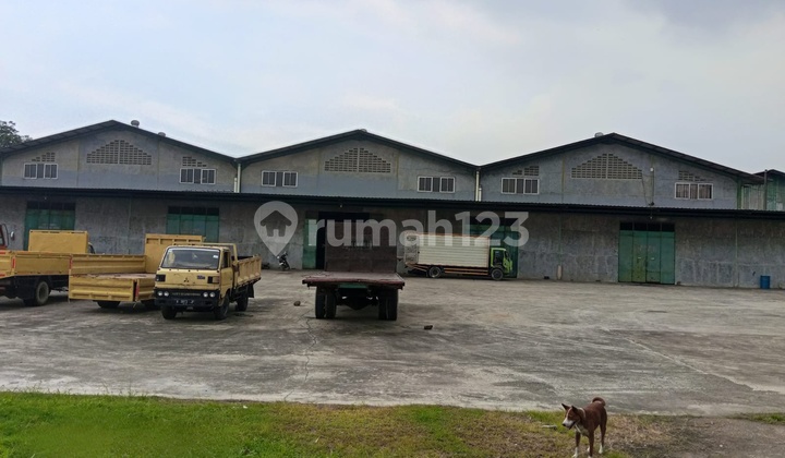 Large Warehouse for Rent Ready-to-Use Warehouse