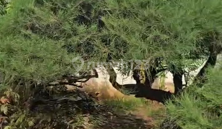 Dijual Kavling/tanah Di Komplek Angkatan Laut Pondok Bambu Duren Sawit Jakarta Timur