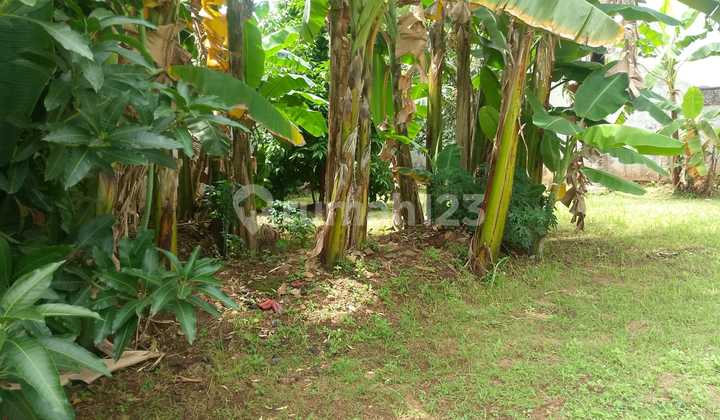 For Sale Fast Land in Jaka Permai Complex Jakasampurna Bekasi For Sale Fast Land in Jaka Permai Complex Jakasampurna Bekasi