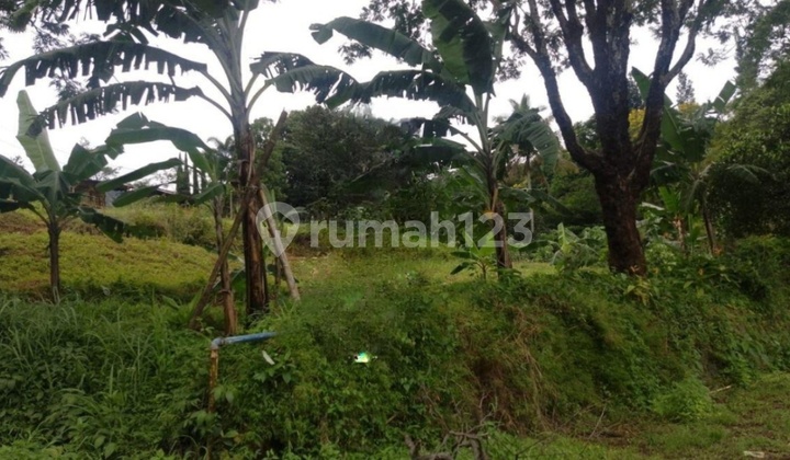 Land for Sale Suitable for Building Villa Cafe in Gunung Geulis, Sukaraja Sentul Bogor Land for Sale Suitable for Building Villa Cafe in Gunung Geulis, Sukaraja Sentul Bogor