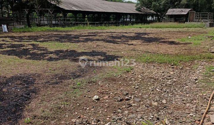 Dijual Cepat Tanah Di Puspitek Serpong Tangerang Selatan  1