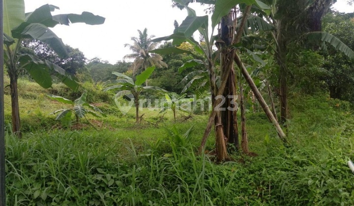 Dijual Cepat Tanah Gunung Geulis, Sukaraja Sentul Bogor Dijual Cepat Tanah Gunung Geulis, Sukaraja Sentul Bogor