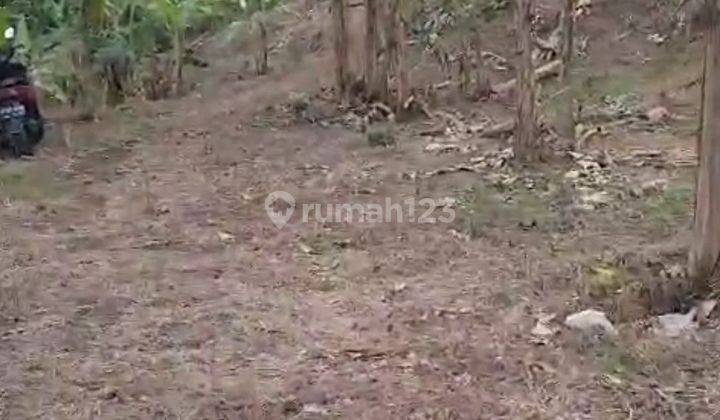 Tanah Murah Di Desa Cibadak Sukamakmur Besh View Gunung Pinggir Jl.Cibadak 2