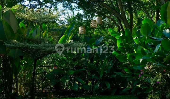 Rumah Hook Ala Bali Tropical 4+2 Kamar Luas 500M Bsd Dekat Tol 2