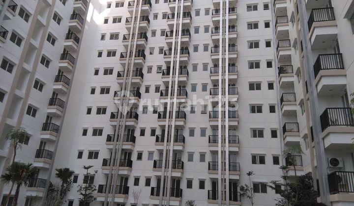 Studio Type Apartment Unfurnished Area 26m Signature Park Grande