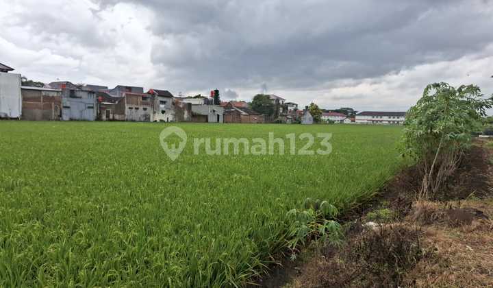 Tanah SHM 2.4 Hektar Lebar Muka 60M Dekat Summarecon Bandung Tanah SHM 2.4 Hektar Lebar Muka 60M Dekat Summarecon Bandung
