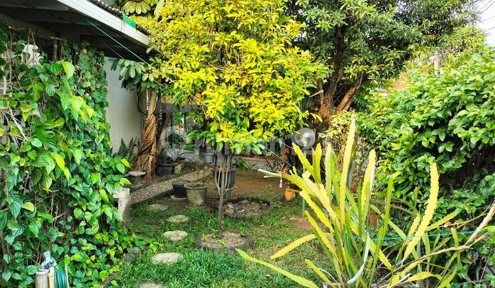 Dijual Cepat Rumah Komplek Hook Shm Luas 400m Kalideres Jakbar Dijual Cepat Rumah Komplek Hook Shm Luas 400m Kalideres Jakbar