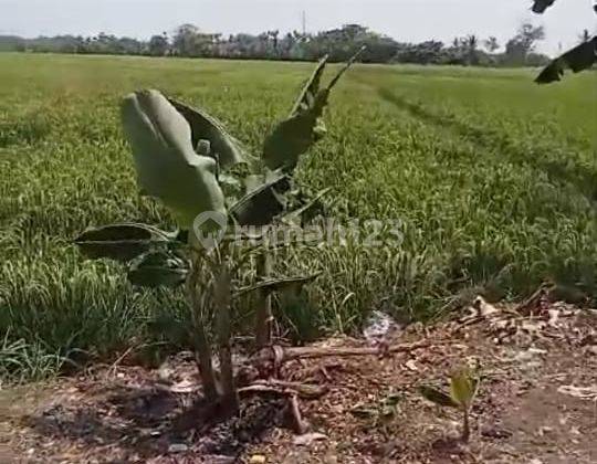 Tanah Murah SHM Depan Jalan Raya 1