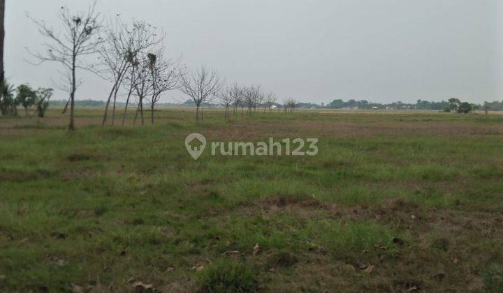 Tanah Murah Utk Investasi di Zona Perumahan 1