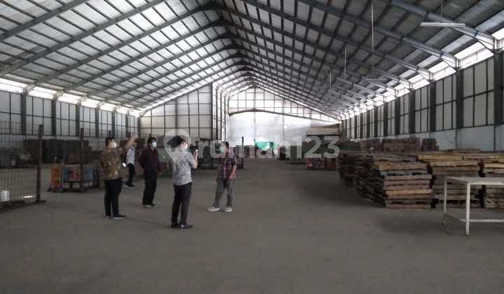 Ex Pabrik Murah di Kurator