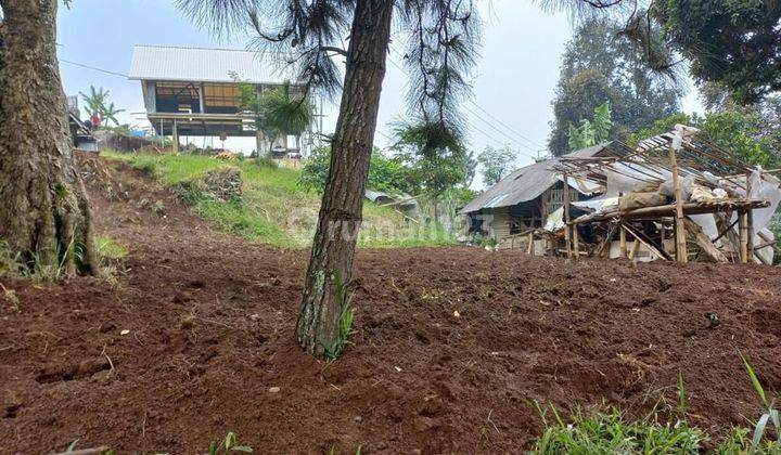 Tanah kosong ditengah perkebunan,cocok untuk villa  2