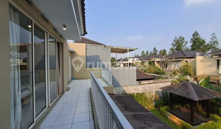 Comfortable, Cool, and Lush House