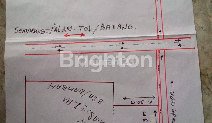 LAHAN INVESTASI COCOK UNTUK PEMUKIMAN DI KALIWUNGGU KENDAL 1