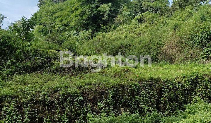 LAHAN NON PERTANIAN ZONA KUNING MASIH ASRI  DI UNGARAN BARAT 1