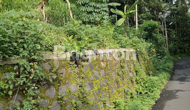 LAHAN NON PERTANIAN ZONA KUNING MASIH ASRI  DI UNGARAN BARAT 2