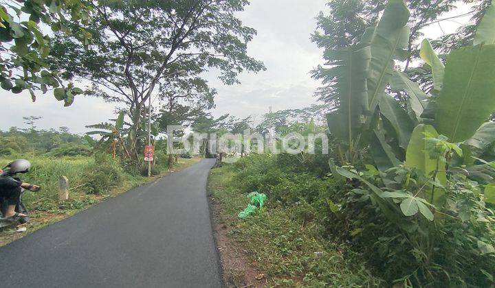 BUTUH BUAT GUDANG NIH REKOMENDED BANGEET BUAT GUDANG ATAU BUKA BISNIS TERNAK AYAM LOKASI DI JALAN DAWUNG RAYA PUDAK PAYUNG BANYUMANIK KOTA SEMARANG 2