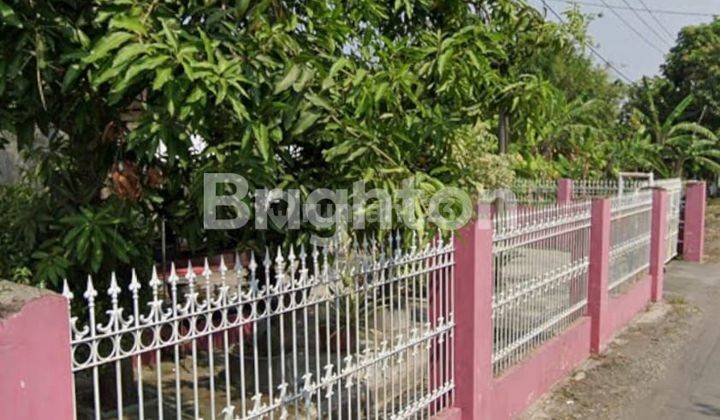 RUMAH 1 LANTAI SIAP HUNI DI SIDOARJO JAWA TIMUR 2