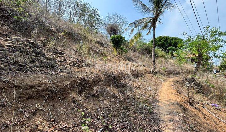 Dijual Cepat Tanah Di Pinggir Pantai Gili Gede Lombok Barat 1