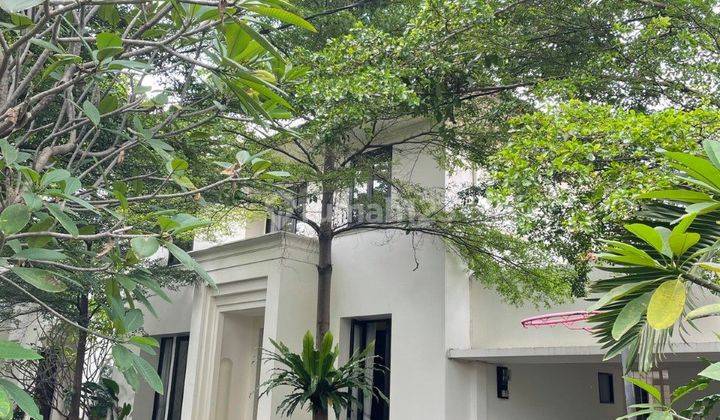 Rumah Di Sewakan Area Kemang Bungur Palm.mansion  2