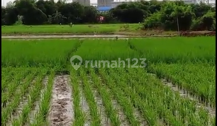 Land in Subang. Near Byd. Land in Subang. Near Byd.