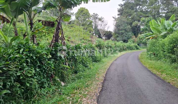 Land 800 Meters Above Sea Level Land 800 Meters Above Sea Level