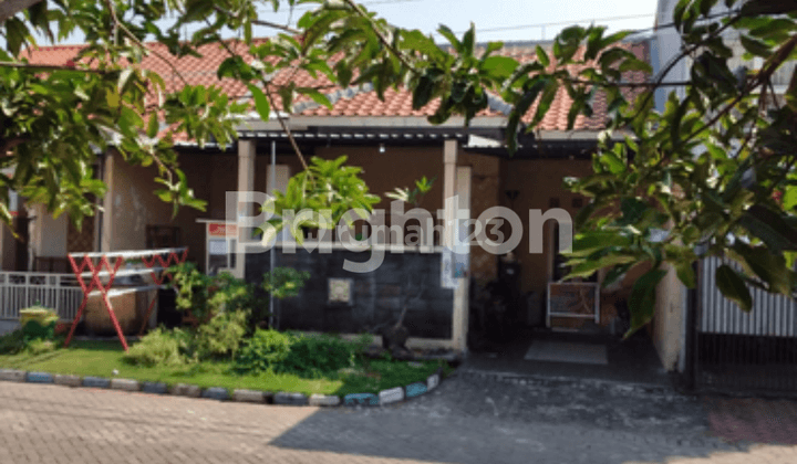 Rumah  cluster di tmn Pasadena,Puri surya jaya gedangan Sidoarjo 1