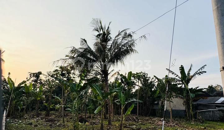 Translate to English: Translate to English: